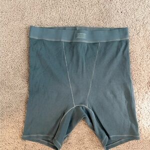 Skims Teal Boxer Briefs